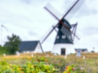 Mandø